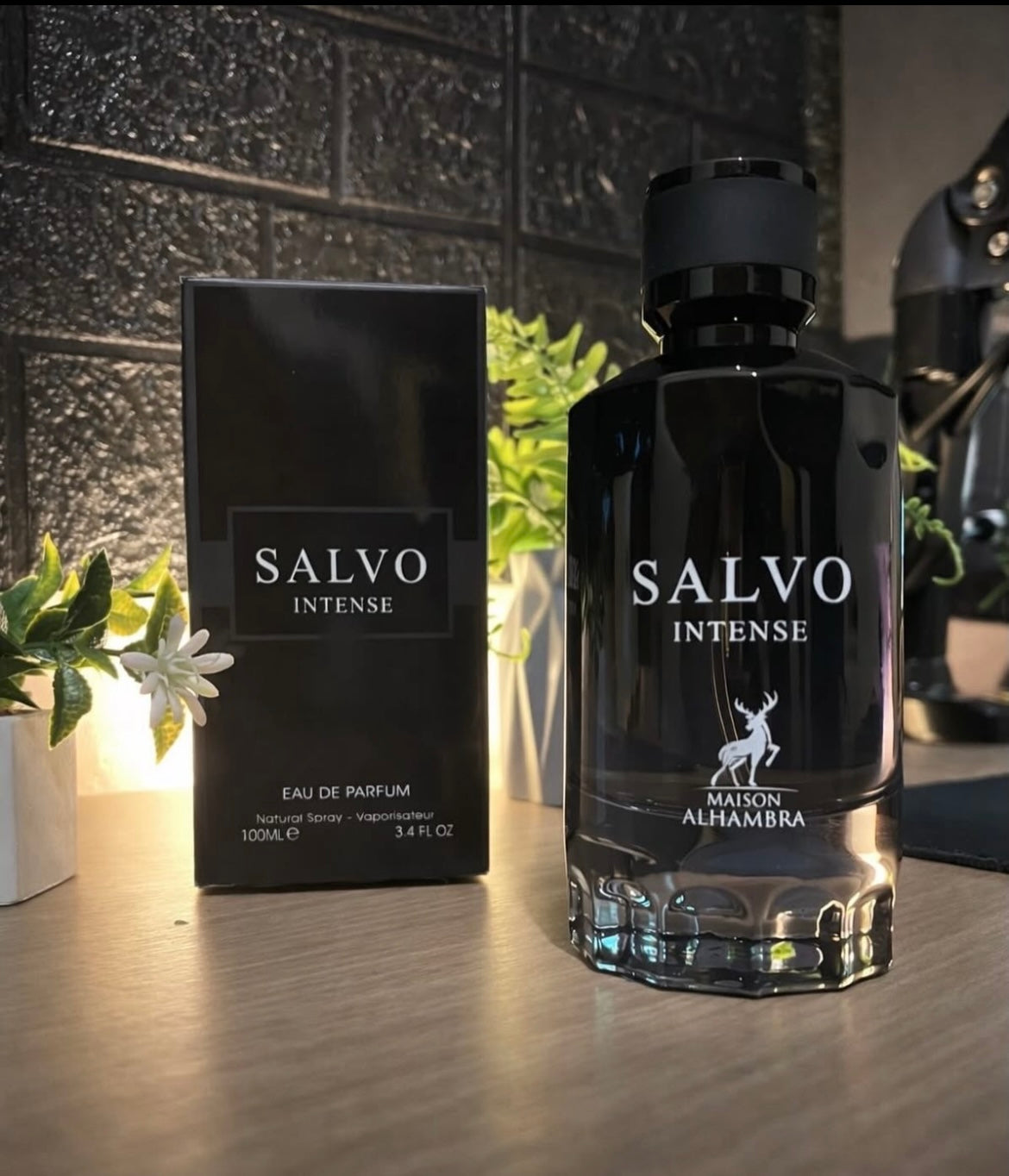 Salvo Intense
